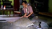 Kepala Desa Bodas Wasgito mengatakan tanah gerak itu membuat tanah di desanya amblas, dan mengakibatkan 95 rumah milik warganya rusak.