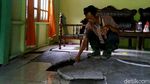 Puluhan Rumah Retak Akibat Pergerakan Tanah di Pekalongan
