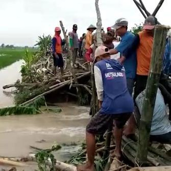 Tanggul Sungai Ingas di Desa Kedungprimpen, Kecamatan Kanor jebol. Perbaikan secara manual masih dilakukan untuk meminimalisir luapan ke ratusan hektare persawahan.