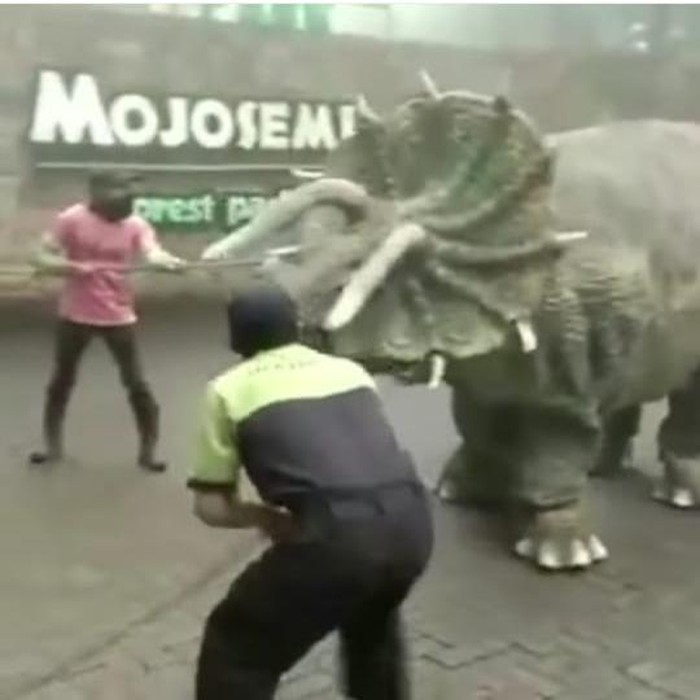 Video dinosaurus mengamuk viral di media sosial. Peristiwa itu terjadi di Mojosemi Forest Park, Magetan.