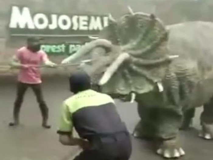 Video dinosaurus mengamuk viral di media sosial. Peristiwa itu terjadi di Mojosemi Forest Park, Magetan.