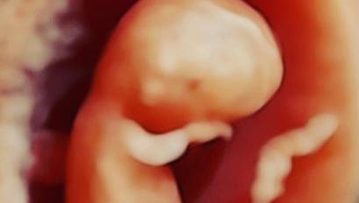 Ilustrasi anak yang ada di dalam kandungan ibu