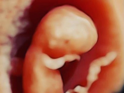 Ilustrasi anak yang ada di dalam kandungan ibu