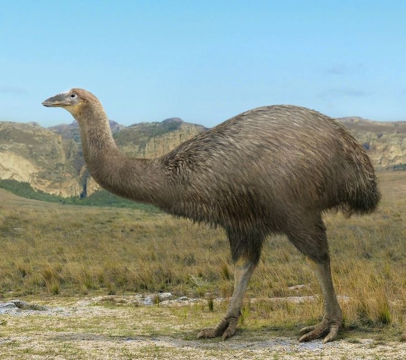 Hewan punah yang ingin dihidupkan kembali