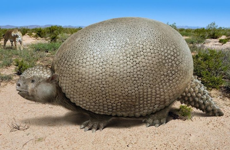 Hewan punah yang ingin dihidupkan kembali