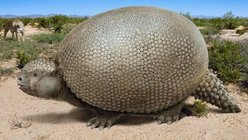 Glyptodont Foto: Brightside