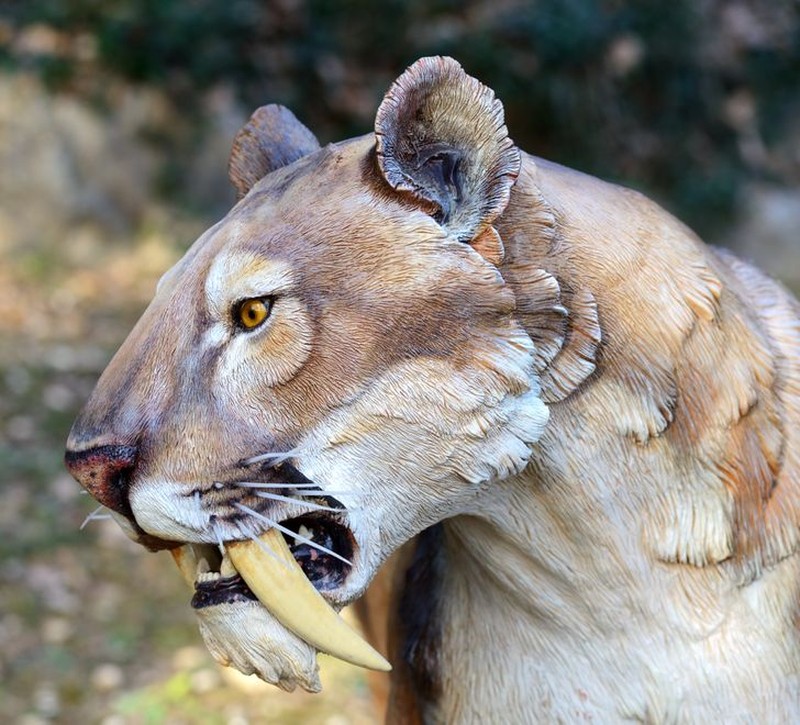 Hewan punah yang ingin dihidupkan kembali