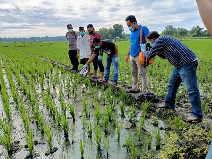 Jebakan tikus listrik kembali menelan korban jiwa di Ngawi. Kali ini yang menjadi korban merupakan petani yang memasang jebakan tersebut.