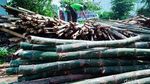Kisah Perajin Bambu Bertahan Hidup di Tengah Pandemi