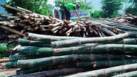 Dikatakan Trimanto, selama pandemi para perajin tertolong dengan maraknya wisata desa. Banyak desa menggunakan dana desa untuk membuat usaha atau taman desa.