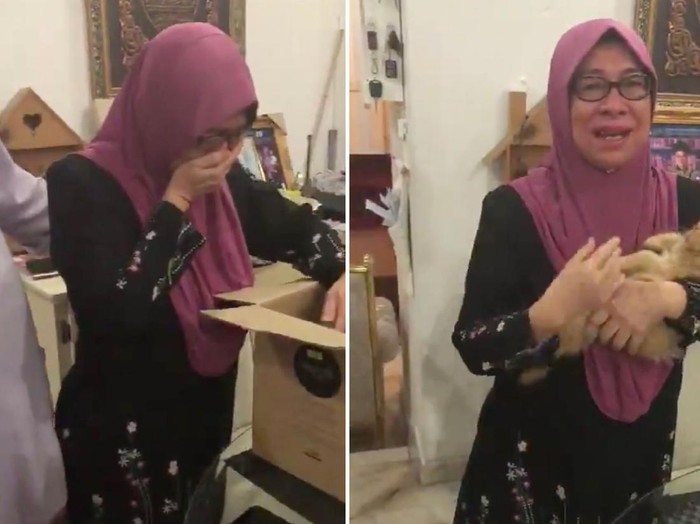 Kucing Fatihah Ghafar yang mengunggah momen ulang tahun ibunya
