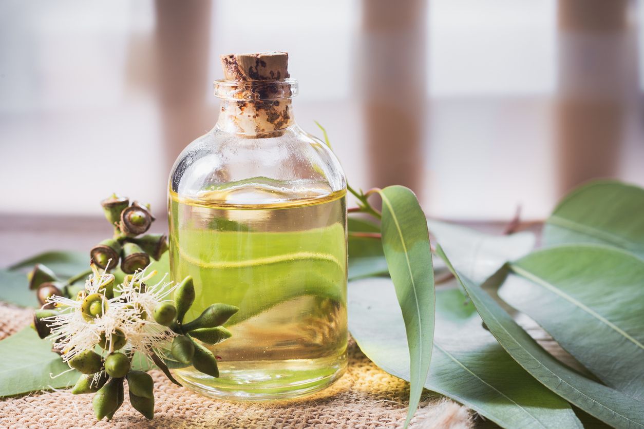 eucalyptus essential oil in bowl, with eucalyptus leaves on wooden background