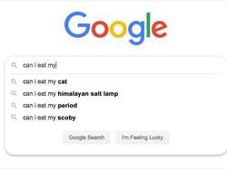 Pertanyaan Paling Kocak yang Dicari Orang di Google
