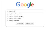 Beberapa pertanyaan dan pencarian kocak ini dialamatkan kepada Google. Nggak paham kenapa pertanyaannya bisa seabsurd ini.