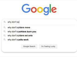 Pertanyaan Paling Kocak yang Dicari Orang di Google