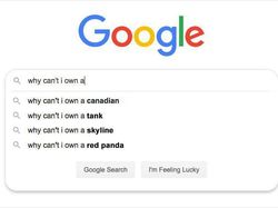 Pertanyaan Paling Kocak yang Dicari Orang di Google