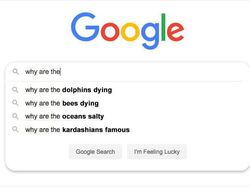 Pertanyaan Paling Kocak yang Dicari Orang di Google