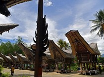 Mengenal Rumah Adat Tongkonan Toraja, Sejarah hingga Keunikan Arsitekturnya