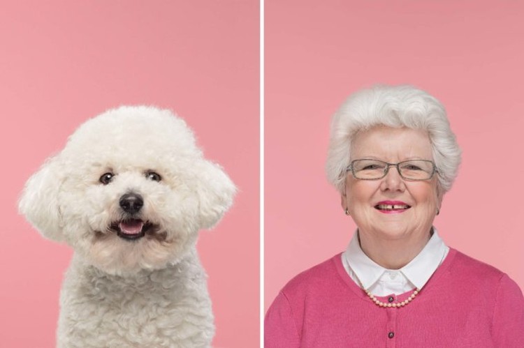 10 Momen Majikan Kembaran dengan Anjing Peliharaan, Cute! Anjing peliharaan sudah seperti bagian dari keluarga. Berikut ini adalah 10 momen majikan yang mirip dengan anjing kesayangan mereka.