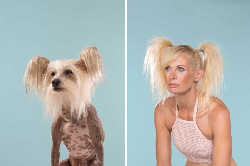 Anjing peliharaan sudah seperti bagian dari keluarga. Berikut ini adalah 10 momen majikan yang mirip dengan anjing kesayangan mereka.