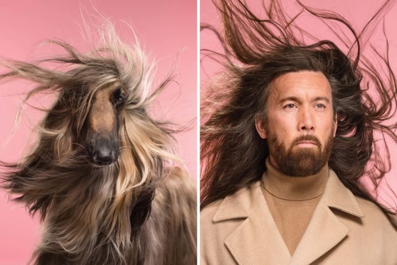 Anjing peliharaan sudah seperti bagian dari keluarga. Berikut ini adalah 10 momen majikan yang mirip dengan anjing kesayangan mereka.