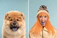 Anjing peliharaan sudah seperti bagian dari keluarga. Berikut ini adalah 10 momen majikan yang mirip dengan anjing kesayangan mereka.
