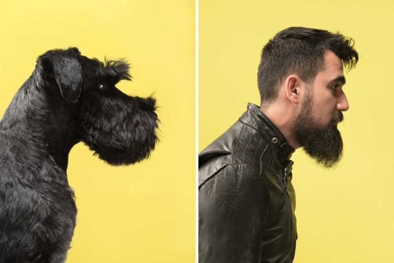 Anjing peliharaan sudah seperti bagian dari keluarga. Berikut ini adalah 10 momen majikan yang mirip dengan anjing kesayangan mereka.