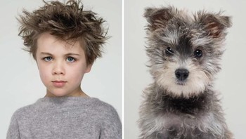 Aduh, sama-sama lucu! Foto: GERRARD GETHINGS via Readers Digest