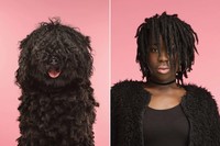 Anjing peliharaan sudah seperti bagian dari keluarga. Berikut ini adalah 10 momen majikan yang mirip dengan anjing kesayangan mereka.