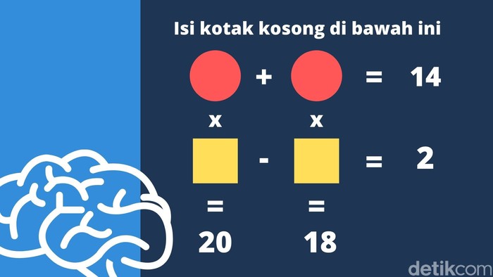 asah otak kanya anindita