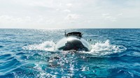 Kecepatan kapal mencapai tiga knot, memiliki kecukupan udara dan baterai untuk perjalanan selama lebih dari 10 jam. (Triton Submarines)