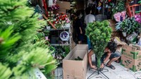 Pohon Natal berbagai ukuran dan model ini dijual dengan harga bervariasi mulai dari Rp 35.000 per pohon ukuran kecil hingga jutaan rupiah.   