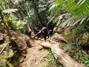 10 Tips Mendaki Gunung Salak yang Aman dan Nyaman