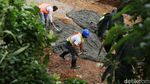 Foto: Progres Terkini Proyek Jalur Rel Ganda Bogor-Sukabumi
