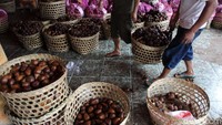 Salak pondok dipasarkan di berbagai daerah di Pulau Jawa.
