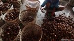 Foto: Manisnya Salak Pondoh Makin Eksis