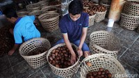 Selain salak pondoh terdapat jenis salak madu yang menjadi unggulan petani salak di Sleman. Salak Madu memiliki bentuk yang lebih besar, dan sisik kulit yang jarang-jarang dengan warna yang lebih terang.