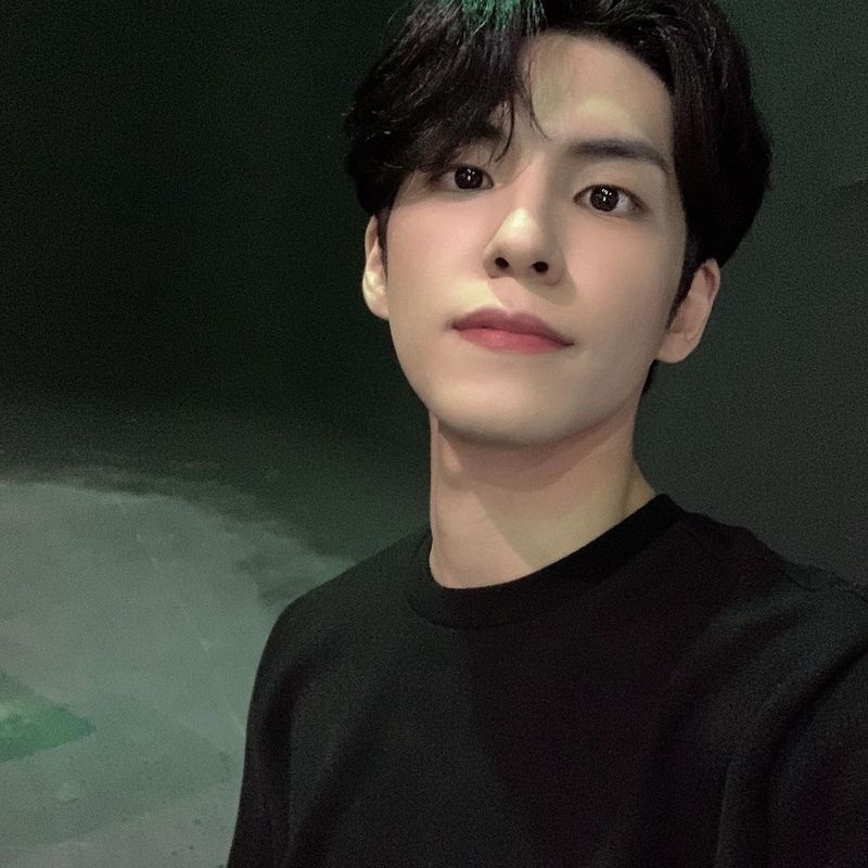 Gaya selfie Wonpil DAY6