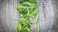 Satu ikat sirih dijual Rp 2.500. Satu ikat terdiri dari 30 daun.