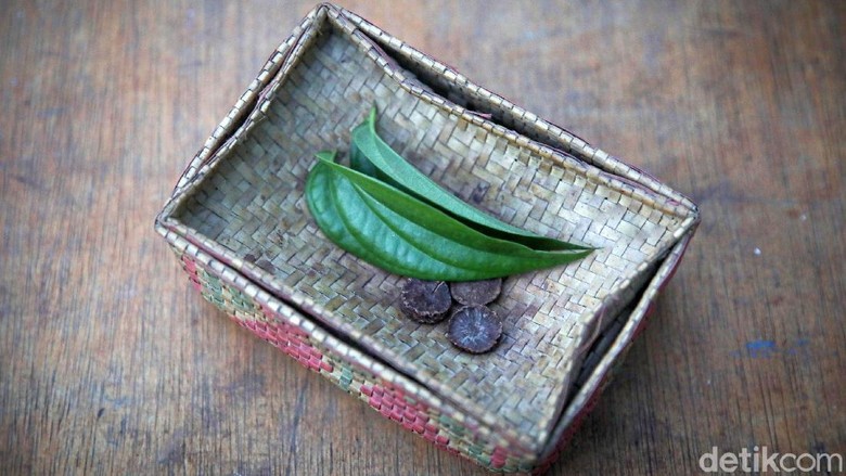 Berkebun Sirih untuk Melestarikan Tradisi Yoseph Nahak (65), warga Kabupaten Malaka, Timor Tengah Selatan, NTT, tengah memetic sirih dikebun yang terletak dibelakang rumahnya. Sirih merupakan bagian dari adat istiadat Sebagian besar masyarakat di NTT.