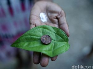 Pinang, Sirih, dan Tenun Tanda Selamat Datang di Malaka Perbatasan RI dan Timor Leste