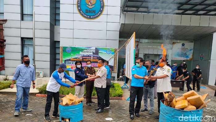 BNN Banten musnahkan puluhan kilogram ganja.