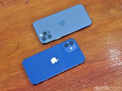 iPhone 12 dan iPhone 12 Pro Biru, Pilih Mana?