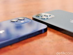 iPhone 12 dan iPhone 12 Pro Biru, Pilih Mana?