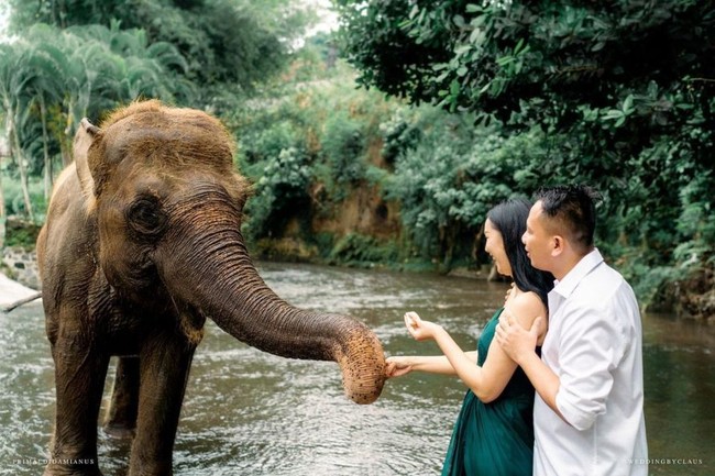 Vicky dan Kalina tampak berpose bersama seekor gajah. Keduanya terlihat tertawa bahagia.  Foto: Instagram/@kalinaocktaranny