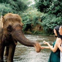 Vicky dan Kalina tampak berpose bersama seekor gajah. Keduanya terlihat tertawa bahagia.  Foto: Instagram/@kalinaocktaranny