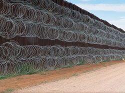 Karya Menawan Jawara Kontes Foto Alam