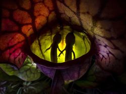 Karya Menawan Jawara Kontes Foto Alam