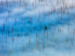 Karya Menawan Jawara Kontes Foto Alam