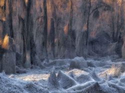 Karya Menawan Jawara Kontes Foto Alam